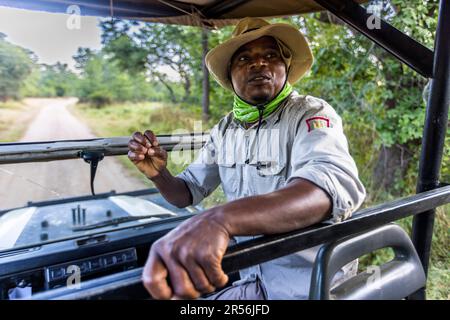 Guida Safari Tom, Kutchire Lodge sa come rintracciare nel Parco Nazionale di Liwonde. Con guida in veicolo safari attraverso il Parco Nazionale di Liwonde, Malawi Foto Stock