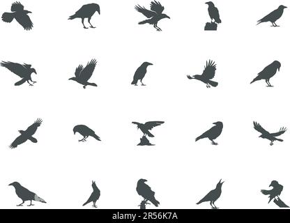 Silhouette Raven, silhouette Crow, silhouette Crow e Raven, illustrazione vettore Crow Illustrazione Vettoriale