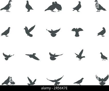 Silhouette Pigeon, illustrazione vettoriale Pigeon, silhouette Pigeon bird Illustrazione Vettoriale