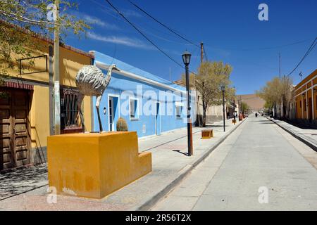 Argentina. Regione di Salta. Puna. S. Antonio de Los Cobros Foto Stock