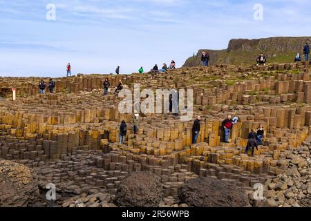 I turisti esplorano le formazioni basaltiche presso il Selciato del gigante, i Bushmills, la contea di Antrim, Irlanda del Nord, un famoso sito patrimonio dell'umanità dell'UNESCO. Foto Stock