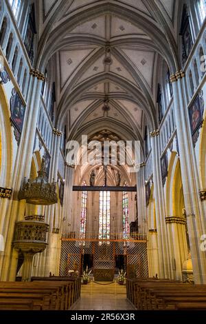 Svizzera. Cantone Friburgo. Friburgo. St Cattedrale di Nicolas Foto Stock