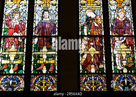 Svizzera. Cantone Friburgo. Friburgo. St Cattedrale di Nicolas Foto Stock