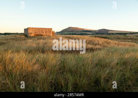 Sunrise at Scottish Wildlife Trust Dumbarnie collega la riserva naturale nei pressi di Largo, Fife, Scozia Foto Stock