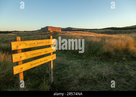 Sunrise at Scottish Wildlife Trust Dumbarnie collega la riserva naturale nei pressi di Largo, Fife, Scozia Foto Stock