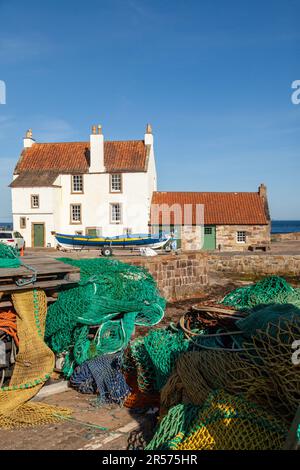 Case bianche tradizionali con tegole sul porto di Pittenweem, Fife, Scozia Foto Stock