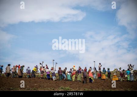 Ruanda. Dintorni di Kibuye. contadini al lavoro Foto Stock