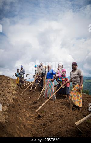 Ruanda. Dintorni di Kibuye. contadini al lavoro Foto Stock