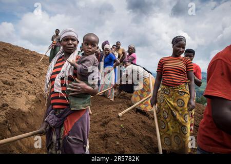 Ruanda. Dintorni di Kibuye. contadini al lavoro Foto Stock