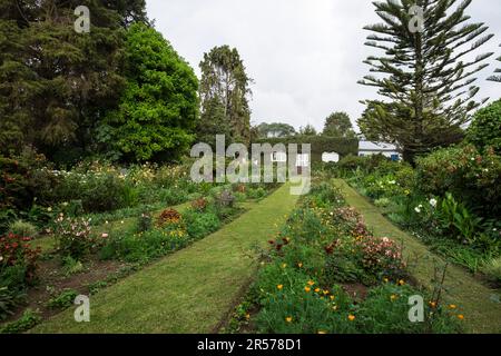 Ruanda. Imbibazi. Rosamond Carr casa e museo Foto Stock