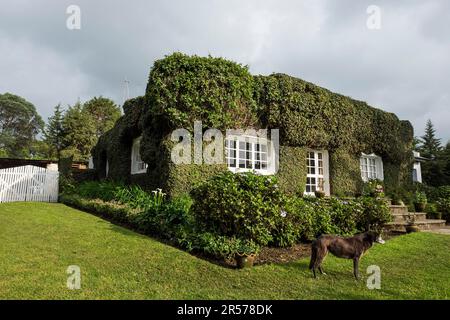 Ruanda. Imbibazi. Rosamond Carr casa e museo Foto Stock