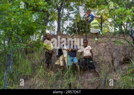 I bambini accompagnano i visitatori alle colline del Malape vicino a Lilomba, Malawi Foto Stock