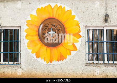 Albania. Penisola balcanica. Tirana. Edificio decorato Foto Stock