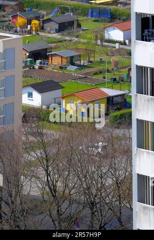 Karlsruhe, Durlach, alto edificio, condominio, vista dal 14th ° piano, giardino di allotment in città Foto Stock