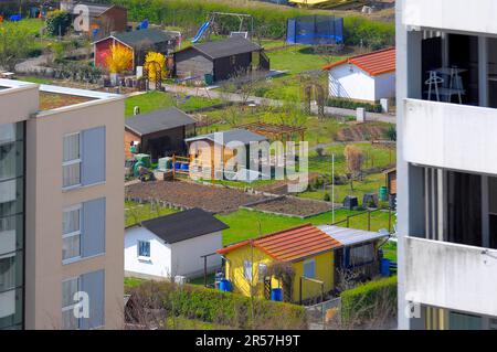 Karlsruhe, Durlach, alto edificio, condominio, vista dal 14th ° piano, giardino di allotment in città Foto Stock