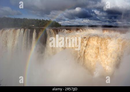 Guarda la Gola del Diavolo delle Cascate di Iguazu al confine tra Argentina e Brasile Foto Stock