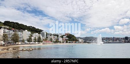 WELLINGTON, NUOVA ZELANDA - 11 FEBBRAIO : Waterfront a Wellington Nuova Zelanda il 11 febbraio 2012. Persone non identificate Foto Stock