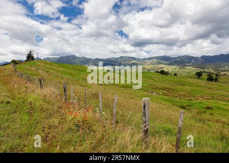 Verde e ondulata campagna dell'Isola del Nord in Nuova Zelanda Foto Stock