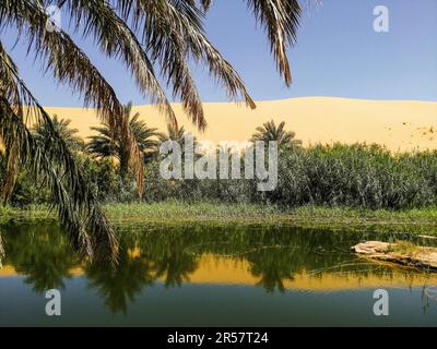 Mauritania, regione di Adrar, oasi di Mhaireth, paesaggio Foto Stock