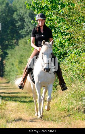 Fondo, donna con paso fino, mare, cavalcare, cavalcare, donna, step, cavallo bianco, casco da equitazione Foto Stock