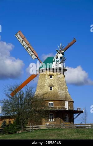 Mulino a vento, Neubukow, Meclemburgo-Pomerania occidentale, Germania Foto Stock