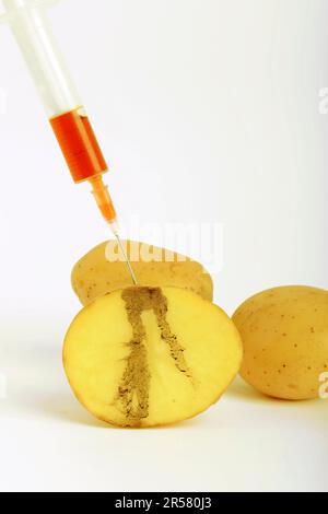 Iniezione nella patata, immagine simbolica della patata geneticamente modificata, tracce di iniezione nella patata, alimenti geneticamente modificati Foto Stock