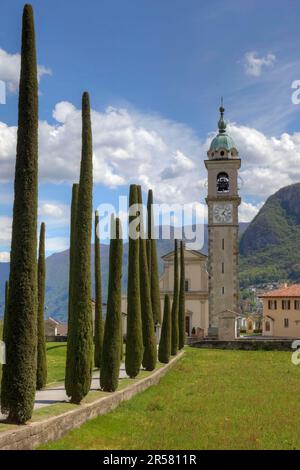 Chiesa parrocchiale di Sant'Abbondio, Montagnola, Gentilino, collina d'Oro, Ticino, Viale dei cipressi, Sant Abbondio, Svizzera Foto Stock