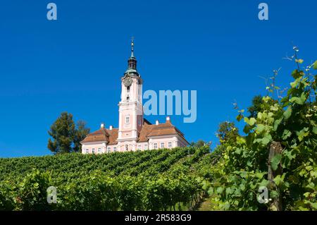 St Chiesa del pellegrinaggio di Maria a Birnau, Lago di Costanza, Baden-Wuerttemberg, Germania Foto Stock