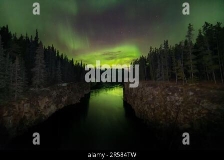 Sorprendente, sorprendente aurora boreale visto nel territorio dello Yukon, Canada settentrionale in autunno. Miles Canyon fuori Whitehorse Foto Stock