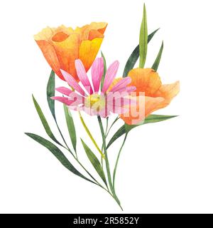 Bouquet con fiori d'acqua di colore arancione e fiori di cosmo californiani isolati su sfondo bianco. Illustrazione dipinta a mano con arancione brillante Foto Stock