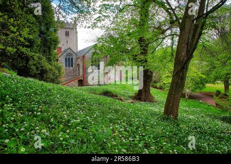 GB - DEVON: Chiesa parrocchiale di San George & St. Mary, Cockington, la chiesa più antica del Devon, con le sue origini risalenti al 1068 Foto Stock