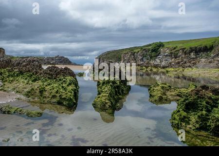 Spiaggia con rocce sedimentarie ricoperte di muschio verde in Playa Virgen del Mar, Costa Quebrada, Cantabria, Spagna Foto Stock