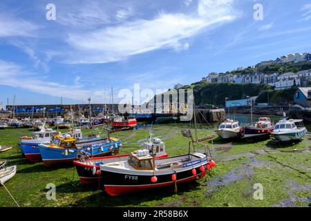 Mevagissey Cornish è un villaggio, porto di pescatori e parrocchia civile in Cornovaglia, Inghilterra, Regno Unito. Il villaggio si trova a circa otto chilometri Foto Stock