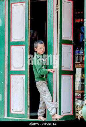 Il ragazzo nepalese da qualche parte nella Valle di Khumbu Foto Stock