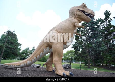 St Louis, Stati Uniti. 01st giugno, 2023. Un grande Dinosauro T-Rex sorge vicino al Planetario presso il St Louis Science Center il giorno nazionale dei dinosauri a St Louis il Giovedi, 1 giugno 2023. I dinosauri vissero milioni di anni fa e furono rettili e antenati delle lucertole, dei serpenti, delle tartarughe e dei coccodrilli comuni che esistono oggi. I dinosauri vissero durante l'era mesozoica o Età dei rettili, iniziata circa 252 milioni di anni fa. Foto di Bill Greenblatt/UPI Credit: UPI/Alamy Live News Foto Stock