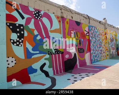Il muro dell'artista Shelbi Nicole di murales colorati a Art Alley nel quartiere artistico del centro di Baytown, Texas. Foto Stock