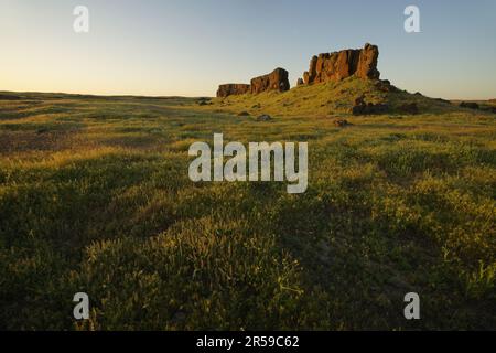 Basalt butte che sorge sulle praterie del deserto al tramonto, Seep Lakes Wildlife Area, Washington, USA Foto Stock