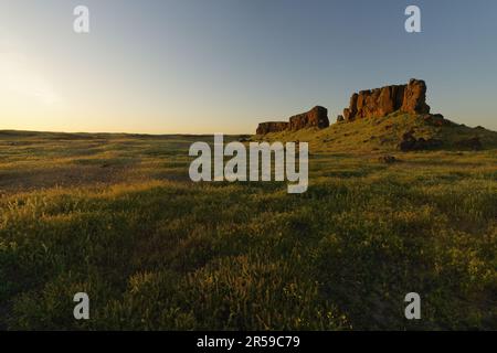 Basalt butte che sorge sulle praterie del deserto al tramonto, Seep Lakes Wildlife Area, Washington, USA Foto Stock