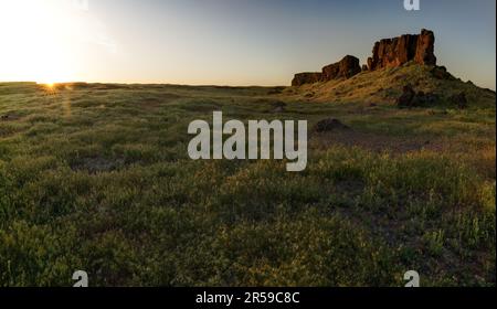 Basalt butte che sorge sulle praterie del deserto al tramonto, Seep Lakes Wildlife Area, Washington, USA Foto Stock