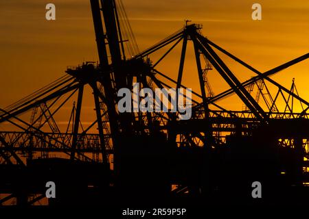 Dettagli di gigantesche gru a portale per container al tramonto Foto Stock