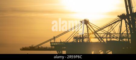 Dettagli di una gigantesca gru a portale per container al tramonto Foto Stock