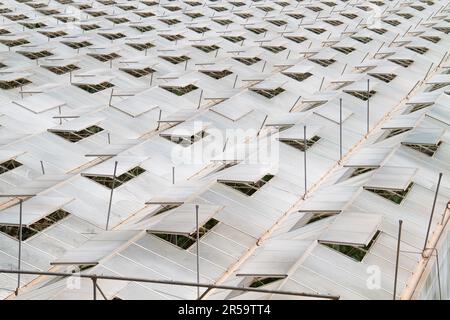 Vista dall'alto dei tetti delle serre con finestre di ventilazione aperte Foto Stock