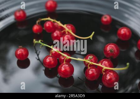 Bacche di ribes rosso su un piatto nero primo piano. Foto Stock