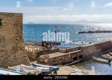 La Marina di Piombino con barche da pesca ormeggiate, Provincia di Livorno Toscana, Italia Foto Stock