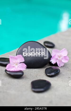 Massaggiare in pietra con la parola EQUILIBRIO e fiori rosa Foto Stock