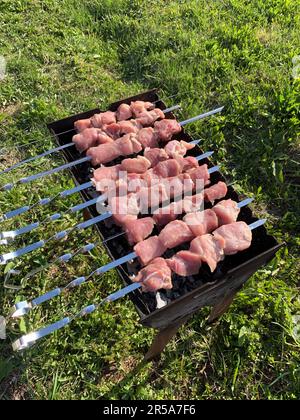 Molti succosi kebab di carne in fila sulla griglia. Pezzi di carne alla griglia puntati su spiedini di metallo. Il processo di cottura dei kebab con molto fumo. Cooki Foto Stock