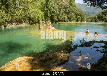 I turisti si godono le splendide piscine di Semuc Champey, Rio Cabohon, Lanquin, alta Verapaz, Guatemala Foto Stock