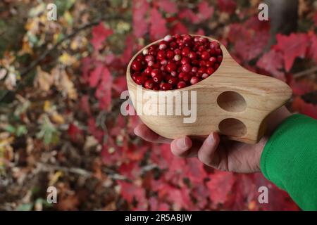 Donna che tiene gustosi lingonberries in tazza di legno vicino a foglie rosse all'aperto, primo piano Foto Stock