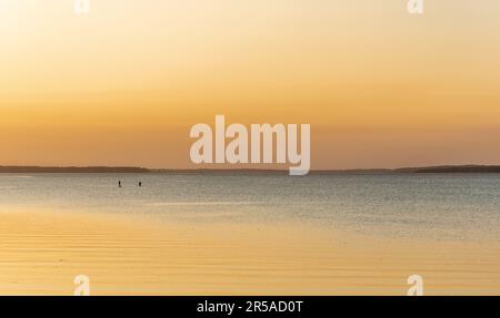 un paio di paddle boarding nella baia di noyac in tarda giornata di sole Foto Stock