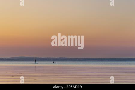 un paio di paddle boarding nella baia di noyac in tarda giornata di sole Foto Stock